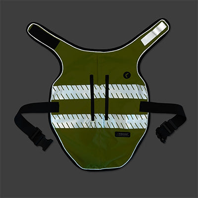 service Image