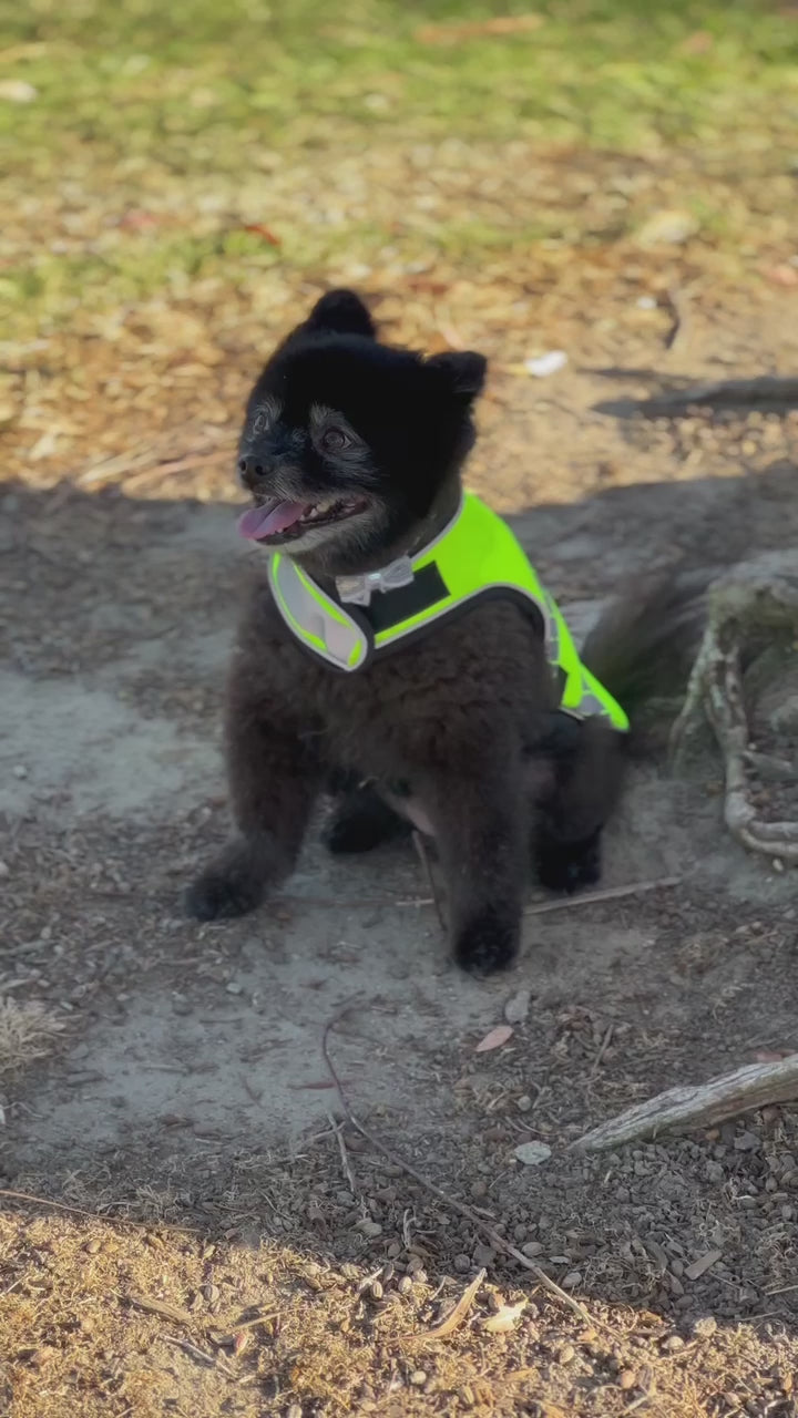 RoverWear™ Dog Vest
