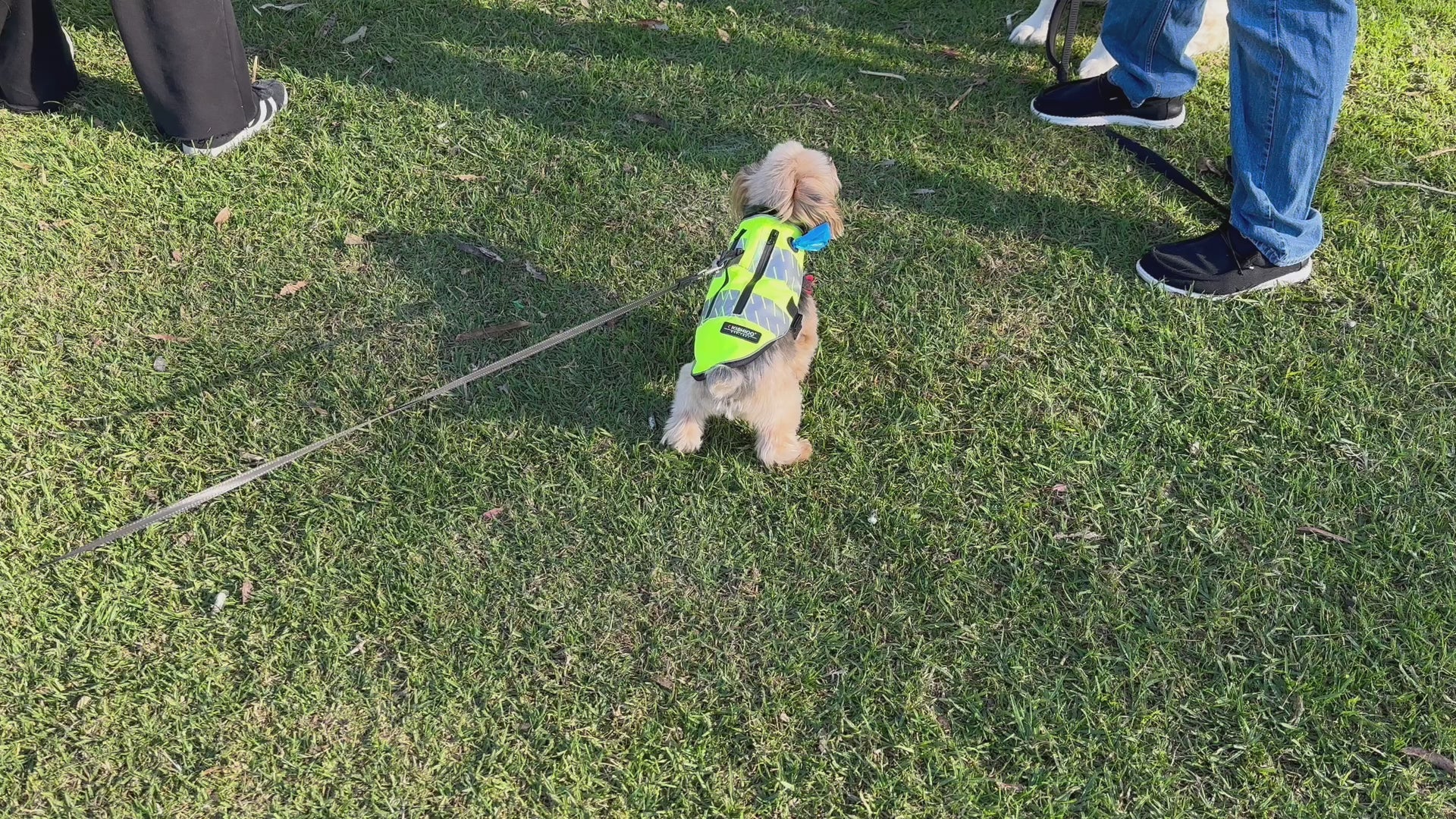 RoverWear™ Dog Vest